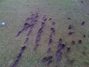 Divots on the golf Range