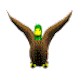 Platypus
