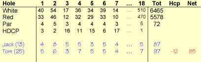 Definition of the Term Medal Play in Golf